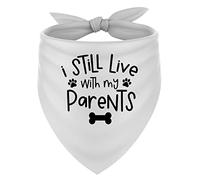 I still live with my parents statement (style two) [DBS1] printed dog bandana adjustable triangle scarf - Medium