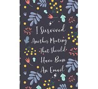 I Survived Another Meeting That Should Have Been An Email: Blank Lined Journal Coworker Notebook