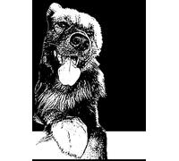 I Taco Libri: QUADERNO A4 RIGHE PER SCUOLA CON CANE