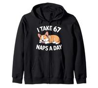 I Take 67 Naps A Day Funny Dog Corgi Six Seven Meme Zip Hoodie