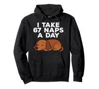I Take 67 Naps A Day Funny Dog Dachshund Six Seven Meme Pullover Hoodie