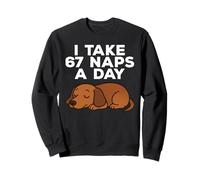 I Take 67 Naps A Day Funny Dog Dachshund Six Seven Meme Sweatshirt
