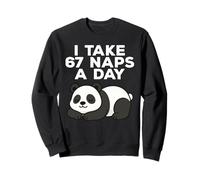 I Take 67 Naps A Day Funny Panda Bear Six Seven Meme Sweatshirt