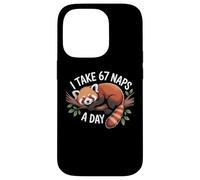 I Take 67 Naps A Day Funny Red Panda Meme Six Seven Case for iPhone 14 Pro