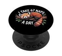 I Take 67 Naps A Day Funny Red Panda Meme Six Seven PopSockets Adhesive PopGrip
