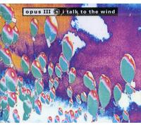 I talk to the wind