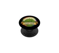 I Touched Grass Today Funny Gamer Meme Rainbow PopSockets Adhesive PopGrip