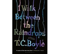 I Walk Between the Raindrops: stories