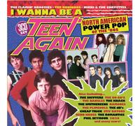 VARIOUS ARTISTS - I WANNA BE A TEEN AGAIN - AMERICAN POWER POP 1980-1989 3CD CLAMSHELL BOX