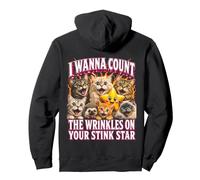 I Wanna Count Wrinkles On Your Stink Star Cat Pullover Hoodie