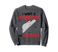I Want A Hippopotenuse For Christmath Math Christmas Pajama Sweatshirt