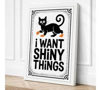 I Want Shiny Things Canvas Wall Art Print 30x20 Inch (76 x 51 cm)