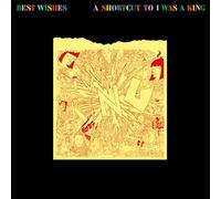 I WAS A KING - Best Wishes - A Shortcut To I Was A King [VINYL]