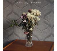 I Was A King - Until The End [VINYL]