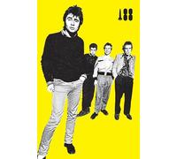 I Was A Teenage Sex Pistol