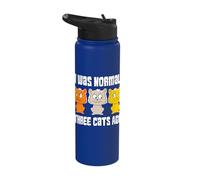 I was Normal Three Cats ago Funny Cat Lover Stainless Steel Insulated Water Bottle