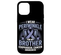 I Wear Periwinkle For Brother Awareness Cancer Case for iPhone 12/12 Pro