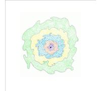 I Will die and You Will die and It Will Be Alright [VINYL]