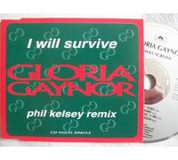 I will survive (Phil Kelsey Remix/orig. 12")