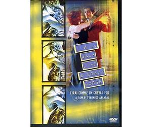 I Will Walk Like a Crazy Horse [DVD] [1973] [US Import] [NTSC]