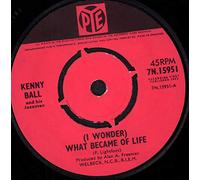 (I Wonder) What Became of Life