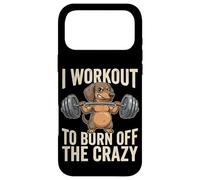I Workout To Burn Off The Crazy Funny Dog Dachshund Gym Case for iPhone 17 Pro Max