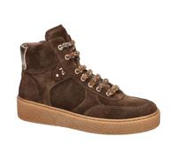 I617522D High Sneaker - female - Nerogiardini - Sneakers - Brown - 4 UK - Shoes 4 UK