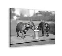 IADNG 3The Norse Goddess Freya Canvas Poster Wall Art Print Picture Paintings 24x36inch(60x90cm)