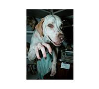 IADNG Mutant Kangal Dog Horror Poster (2) Canvas Poster Bedroom Decor Landscape Decor Gift 08x12inch(20x30cm)