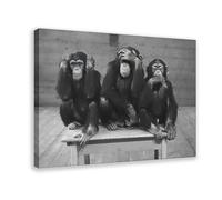 IADNG Wise Monkey Canvas Poster Wall Art Print Picture Paintings 08x12inch(20x30cm)