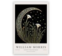 IalGyzquo William Morris Poster Vintage william morris wall art Moon & Stars-6 Exhibition Canvas Print for Bedroom Kitchen Living Room Office Decor 24x36inch Unframed