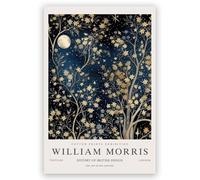 IalGyzquo William Morris Poster Vintage william morris wall art Moon & Stars-7 Exhibition Canvas Print for Bedroom Kitchen Living Room Office Decor 16x24inch Unframed