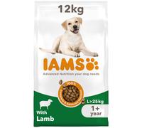 IAMS Adult Large Complete Dry Dog Food Lamb 12kg - With DentalCare System