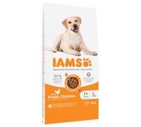 IAMS Advanced Nutrition Adult Large Dog - Chicken - Economy Pack: 2 x 12kg