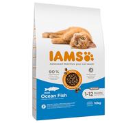 IAMS Advanced Nutrition Kitten with Ocean Fish - Economy Pack: 2 x 10kg