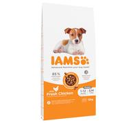 IAMS Advanced Nutrition Puppy & Junior Small & Medium Dog - Chicken - Economy Pack: 2 x 12kg