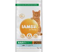 Iams Cat Adult Vitality Ocean Fish 2x2kg