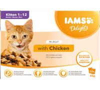 Iams Cat Delight Kitten Jelly 12x85g