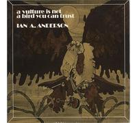 Ian A. Anderson A Vulture Is Not a Bird You Can Trust (Vinyl) 12" Album