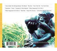 Ian Brown - Unfinished Monkey Business [CD]