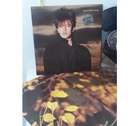 IAN MCCULLOCH - IAN MCCULLOCH september song, KOW 40, poster