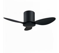 IBalody 25 Inch Small Ceiling Fan Without Light, Low Profile, Black | Flush Mount Ceiling Fans for Bedroom, Office, Kitchen, Small Rooms, Quiet DC Motor Ceiling Fan with Remote Control, 6 Speeds