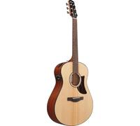 Ibanez AAM100E-NT - Acoustic Guitar