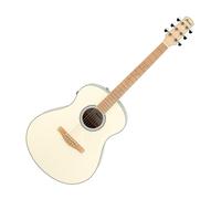 Ibanez AAM370M2E-AIB