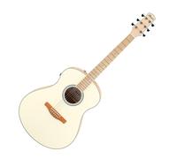 Ibanez AAM370M2E-APF