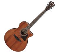 Ibanez AE140-OPN Open Pore Natural