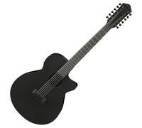 Ibanez AEG1221-BOT