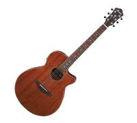 Ibanez AEG220 Natural Low Gloss