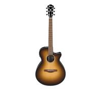 (B-Stock) Ibanez AEG SERIES, Spruce Top, 25"" Scale, AEQ Preamp, T-Bar