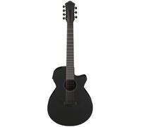 Ibanez AEG721-BOT